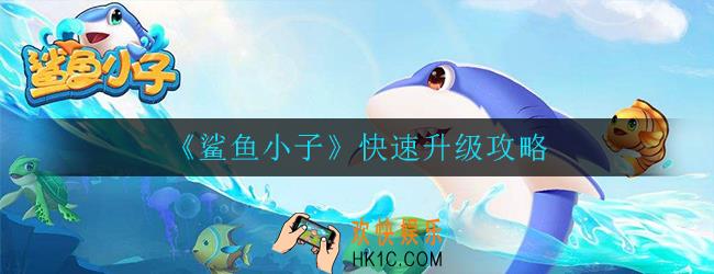 鲨鱼小子怎么快速升级_快速升级攻略
