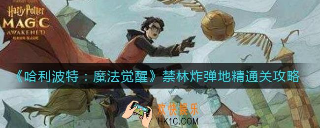 哈利波特魔法觉醒禁林炸弹地精怎么过_禁林炸弹地精通关攻略