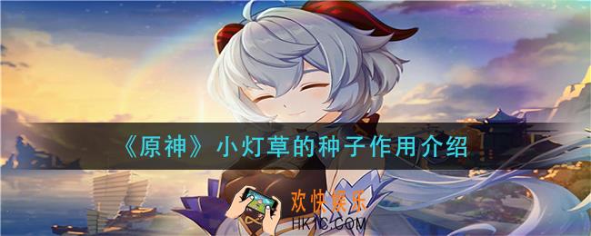 原神小灯草的种子有什么_小灯草的种子作用介绍