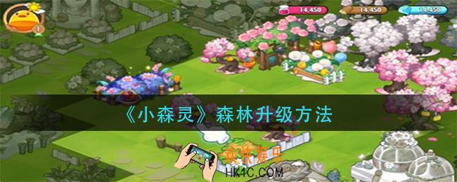小森灵森林怎么升级_森林升级方法
