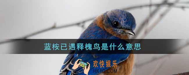 蓝桉已遇释槐鸟是什么意思_蓝桉已遇释槐鸟意思介绍