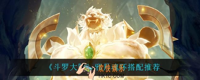 斗罗大陆邪月魂环怎么搭配_邪月魂环搭配推荐