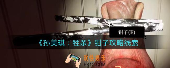 孙美琪疑案牲杀钳子在哪里_牲杀DLC钳子攻略线索位置