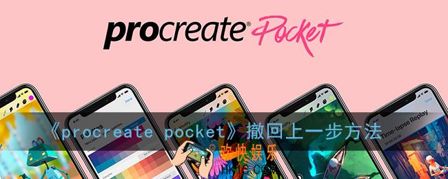 procreate pocket怎么撤回上一步_撤回方法介绍