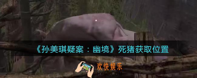 孙美琪疑案幽境死猪在哪里_幽境DLC攻略线索死猪获取位置