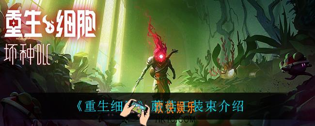 重生细胞蘑菇王装束怎么获得_蘑菇王装束介绍
