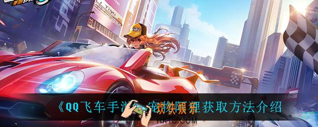 QQ飞车手游宠物阿狸怎么获得_宠物阿狸获取方法介绍