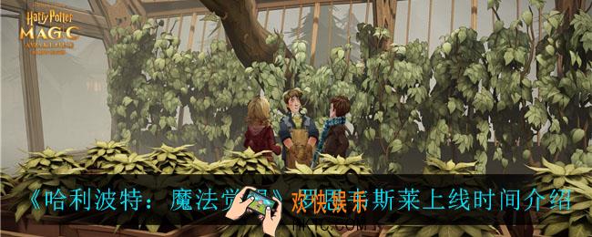 哈利波特魔法觉醒罗恩韦斯莱什么时候上线_罗恩韦斯莱上线时间介绍