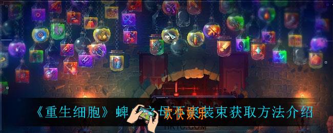 重生细胞蜱虫之母不爽装束怎么获得_蜱虫之母不爽装束获取方法介绍