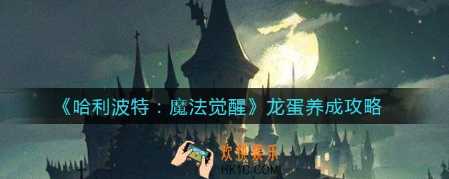 哈利波特魔法觉醒龙蛋怎么养成_龙蛋养成攻略