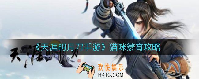 天涯明月刀手游猫咪怎么繁育_猫咪繁育攻略