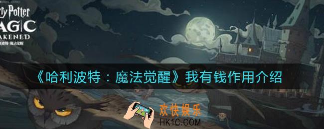 哈利波特魔法觉醒我有钱是什么_我有钱作用介绍