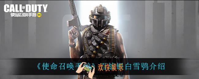 使命召唤手游百战银白雪鸮怎么样_百战银白雪鸮介绍
