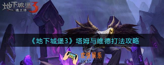 地下城堡3魂之诗塔姆与维德怎么打_塔姆与维德打法攻略
