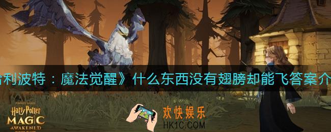 哈利波特魔法觉醒什么东西没有翅膀却能飞答案是什么_什么东西没有翅膀却能飞答案介绍