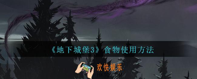 地下城堡3魂之诗食物怎么用_怎么吃食物_食物使用方法