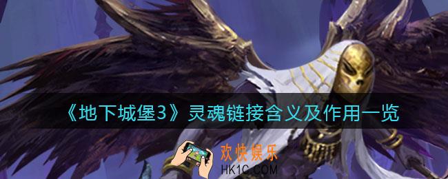 地下城堡3魂之诗灵魂链接是干嘛的_灵魂链接有什么用