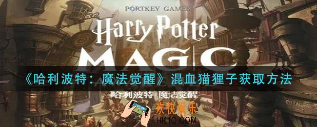 哈利波特魔法觉醒混血猫狸子怎么获得_混血猫狸子获取方法