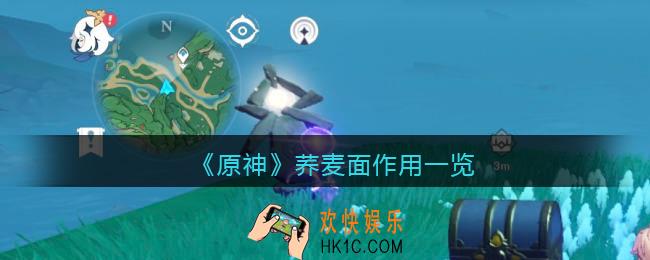 原神荞麦面有什么用_荞麦面作用一览