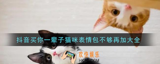抖音买你一辈子不够再加猫咪表情包分享_买你一晚不够再加表情包大全