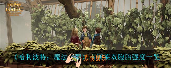 哈利波特魔法觉醒韦斯莱双胞胎怎么样_韦斯莱双胞胎强度一览