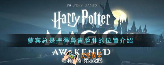 哈利波特魔法觉醒萝宾总是摔得鼻青脸肿的在哪里_萝宾总是摔得鼻青脸肿的位置介绍