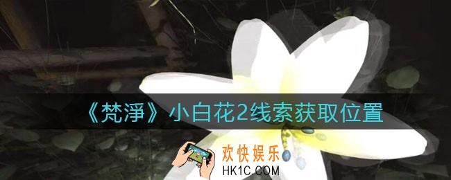 孙美琪疑案梵净小白花2在哪里_梵淨DLC线索小白花2获取位置