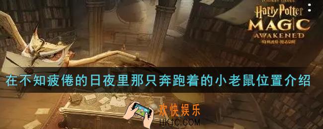 哈利波特魔法觉醒在不知疲倦的日夜里那只奔跑着的小老鼠在哪里_在不知疲倦的日夜里那只奔跑着的小老鼠位置介绍