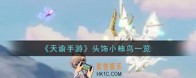 天谕手游头饰小柚鸟怎么样_头饰小柚鸟一览