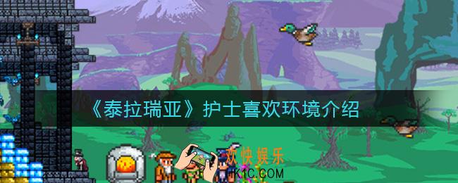 泰拉瑞亚护士喜欢什么环境_护士喜欢环境介绍