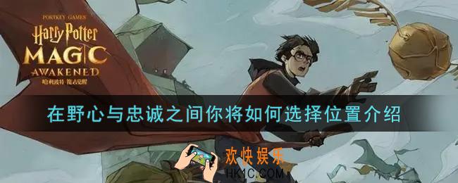 哈利波特魔法觉醒在野心与忠诚之间你将如何选择在哪里_在野心与忠诚之间你将如何选择位置介绍