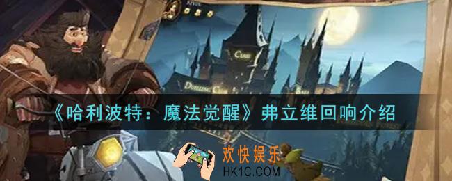 哈利波特魔法觉醒弗立维回响怎么样_弗立维回响介绍