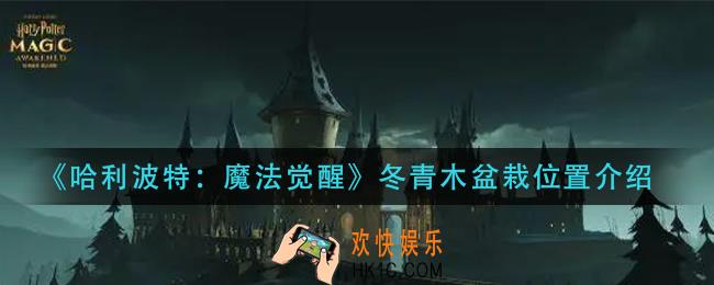 哈利波特魔法觉醒冬青木盆栽在哪_冬青木盆栽位置介绍