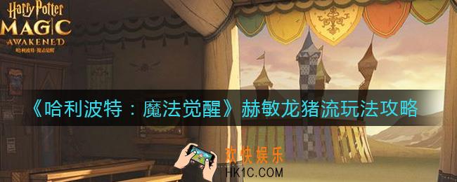 哈利波特魔法觉醒赫敏龙猪流怎么玩_赫敏龙猪流玩法攻略