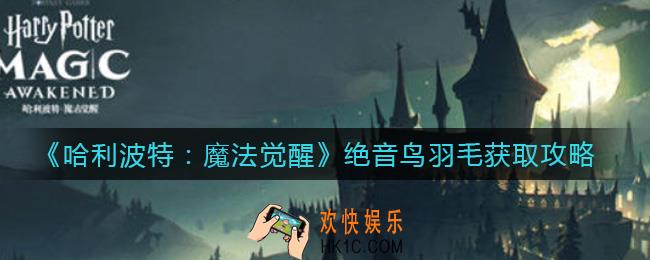 哈利波特魔法觉醒绝音鸟羽毛怎么获得_绝音鸟羽毛获取攻略