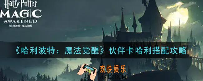 哈利波特魔法觉醒伙伴卡哈利怎么搭配_伙伴卡哈利搭配攻略