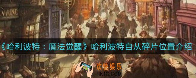 哈利波特魔法觉醒哈利波特自从碎片在哪_哈利波特自从碎片位置介绍