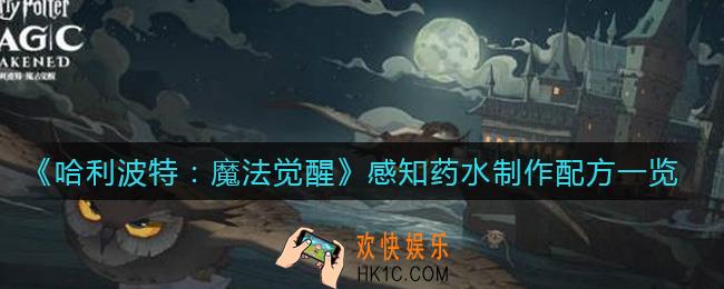 哈利波特魔法觉醒感知药水怎么制作_感知药水制作配方一览