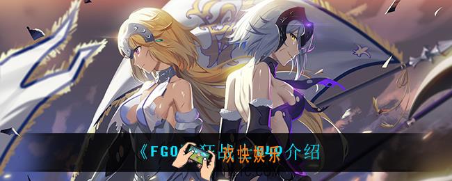 FGO狂战士049是谁_狂战士049介绍