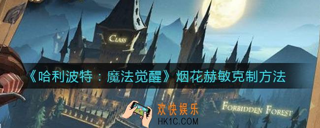 哈利波特魔法觉醒怎么打烟花赫敏_烟花赫敏克制方法