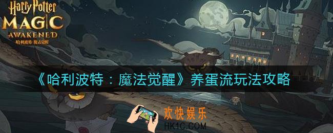 哈利波特魔法觉醒养蛋流怎么玩_养蛋流玩法攻略