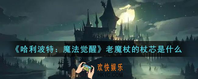哈利波特魔法觉醒老魔杖的杖芯是什么_老魔杖的杖芯是什么答案介绍