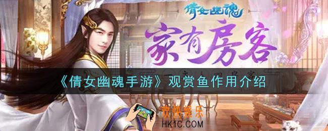 倩女幽魂手游观赏鱼有什么用_观赏鱼作用介绍