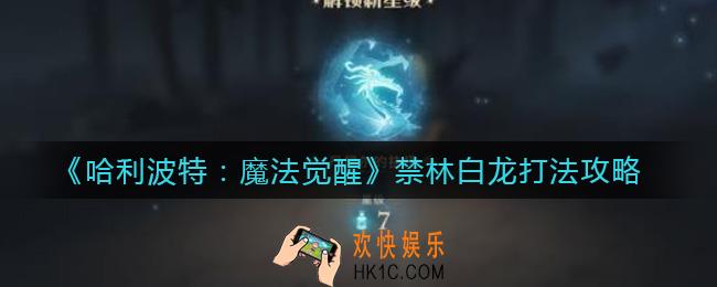 哈利波特魔法觉醒禁林白龙怎么打_禁林白龙打法攻略