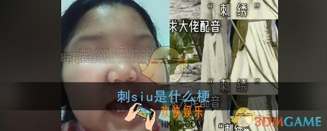 刺siu是什么梗_抖音中国十大国粹刺绣梗含义出处