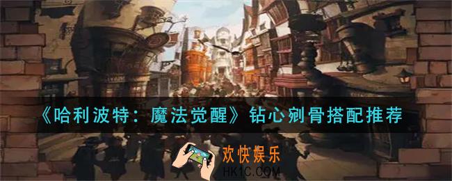 哈利波特魔法觉醒钻心剜骨怎么搭配_钻心剜骨搭配推荐