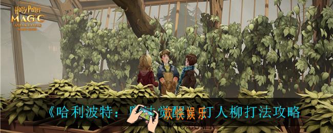 哈利波特魔法觉醒打人柳怎么过_打人柳打法攻略