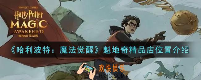 哈利波特魔法觉醒魁地奇精品店在哪里_魁地奇精品店位置介绍