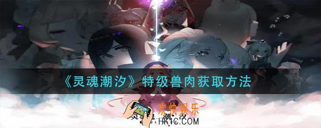 灵魂潮汐特级兽肉怎么获得_特级兽肉获取方法