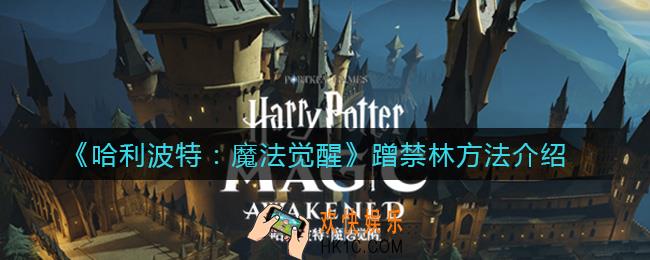 哈利波特魔法觉醒蓝白卡是什么_蓝白卡组攻略
